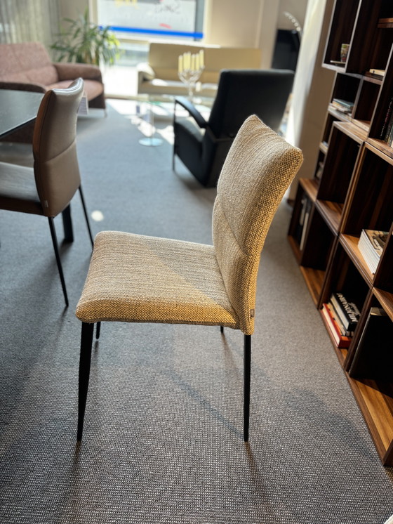 Image 1 of 6x Esszimmerstuhl Ascot von Brand Jori