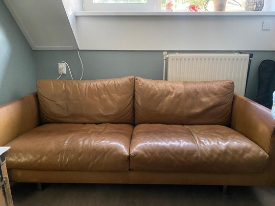 Image 1 of Divano Montis Axel 2,5 posti in pelle