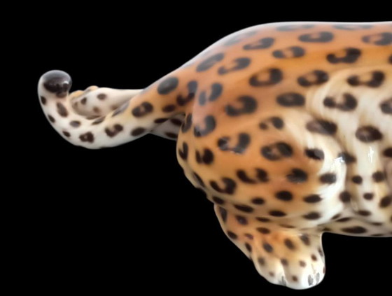 Image 1 of Ronzan leopard no. 1754.