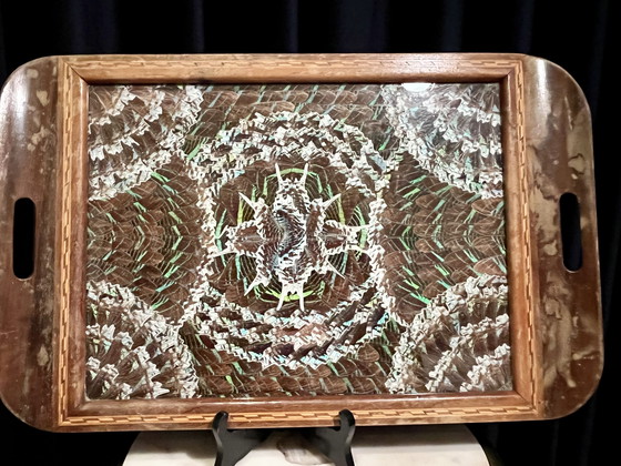 Image 1 of Vintage Midcentury Zitrin-Rio butterfly wing tray – 33×52 cm