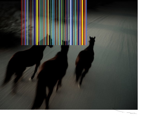 Image 1 of Tehos - Caballos Salvajes - 2026 - Impresión digital - edición limitada