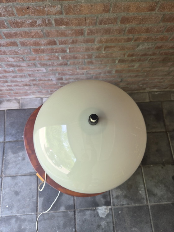 Image 1 of Hala Zeist mushroom lamp