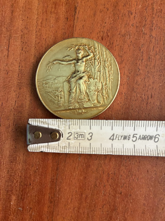 Image 1 of Medaglia di bronzo di André Massoule