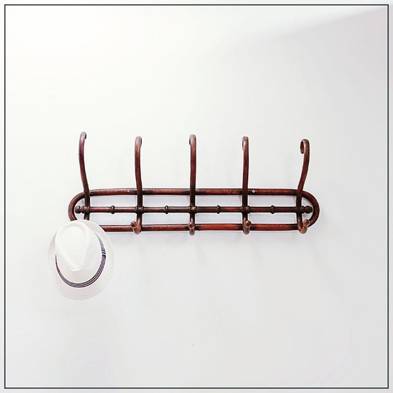 Image 1 of Wandkapstok van gebogen hout in Thonet-stijl – begin 20e eeuw