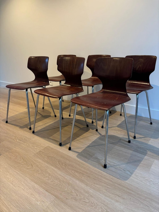 Image 1 of 6x Eromes Obo Chairs , Wijchen