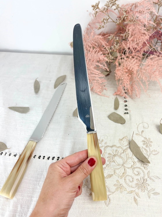 2 coltelli vintage NOGENT in bachelite – Accessori da tavola (photo 7 of 10)