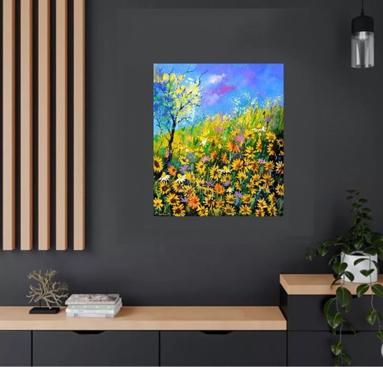 Image 1 of daisies in summer