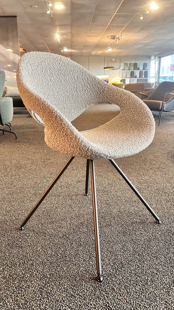 Image 1 of Chaises de salle à manger Tonon modèle Moon