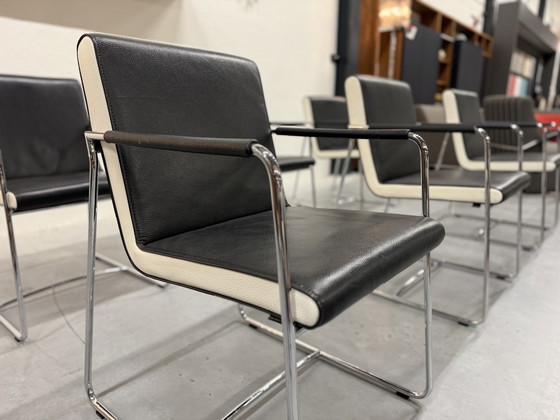 Image 1 of 6 sedie da pranzo Leolux Orchid in pelle grigia e nera