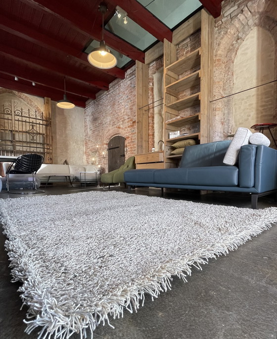 Image 1 of Brink e Campman Jazz Lush Carpet Storm Nuovo