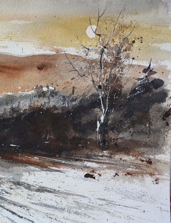 Image 1 of Acquerello Moonshine