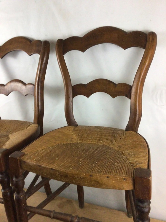 Coppia di sedie pacciamate – Sedie da pranzo, Wood (photo 4 of 11)