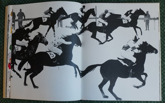 Image 1 of Ein Königreich für ein Pferd