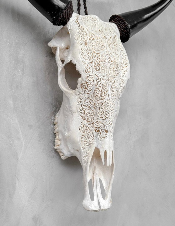 Image 1 of Handgesneden Koeienschedel–Uniek Varenmotief(Boho-Ibiza)