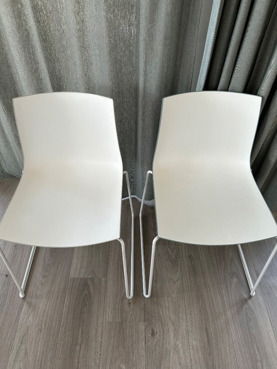 Image 1 of 6 x Arper Califa 46 Bi-Color