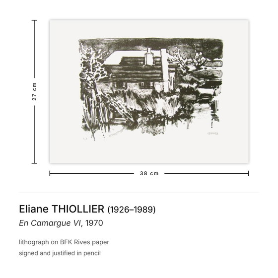 Image 1 of Eliane THIOLLIER En Camargue VI Litografía firmada 1970