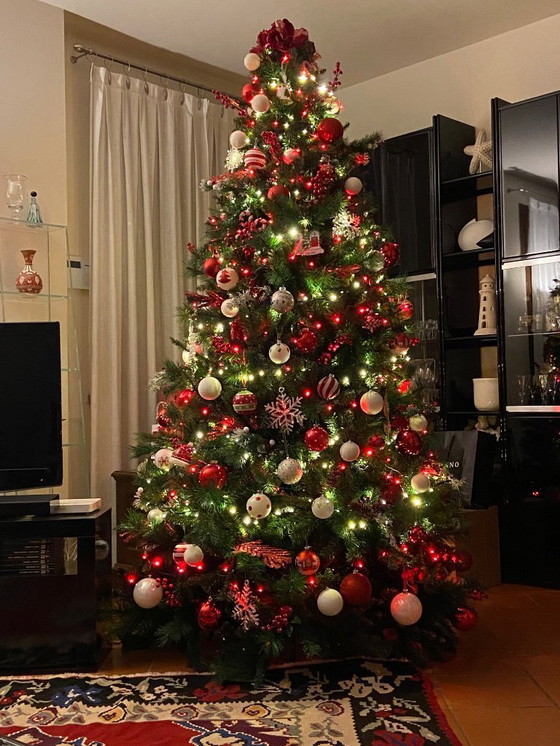 Image 1 of Libreria Olinto B&B Italia