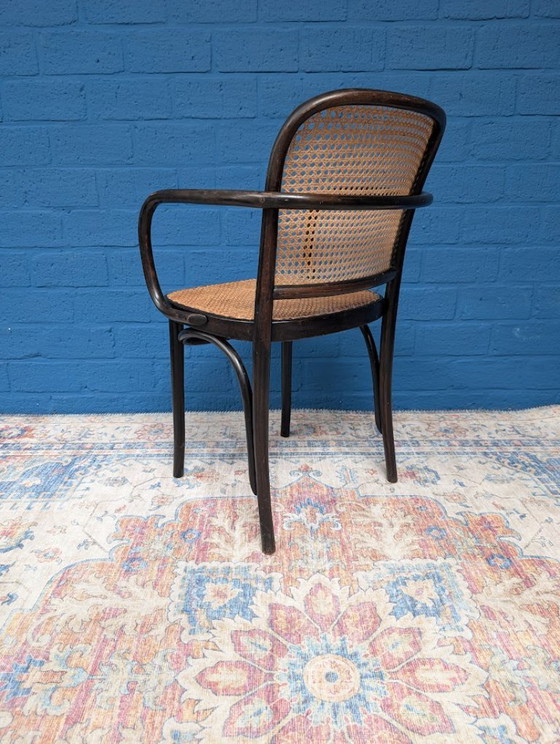 Image 1 of 4 chaises Prague 811 vintage, Josef Hoffmann, années 1960