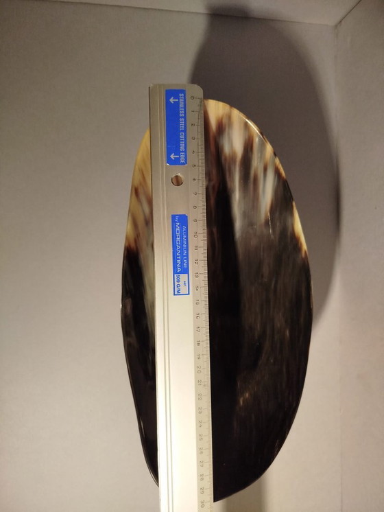 Image 1 of Contemporary Buffalo Horn Centerpiece by OLTRE FRONTIERA