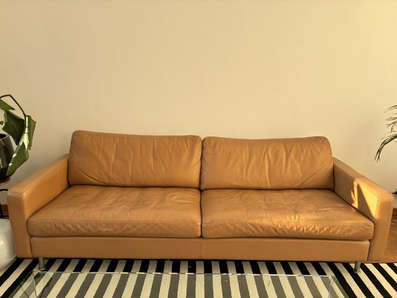 Image 1 of Cor Dreisitzer