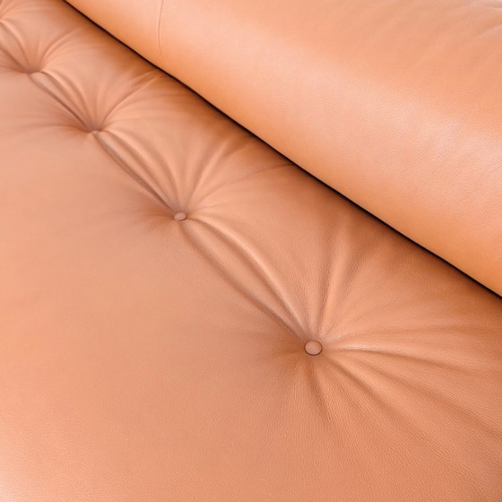 Anfibio Canapé Collezioni Allessandro Becchi Cuir Nouveau Revêtement Cognac – Canapés 3 places, Leather (photo 9 of 14)