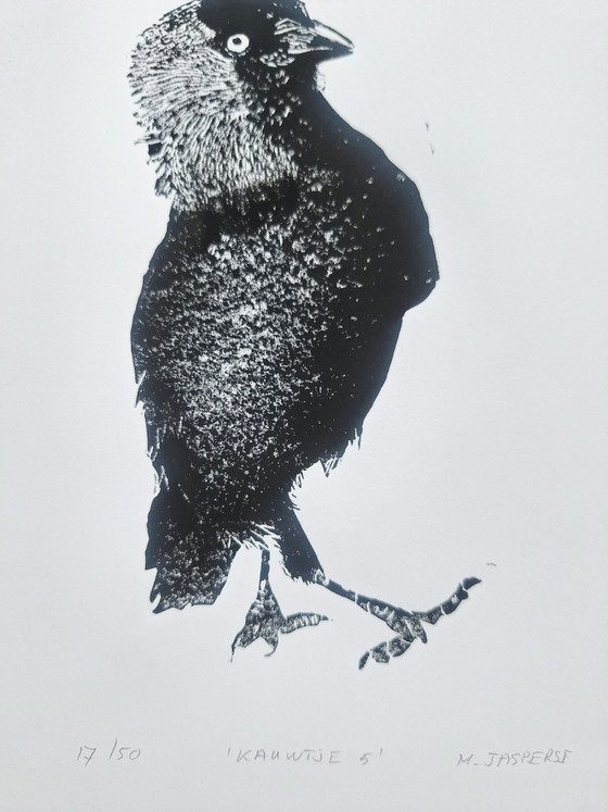 Grabado/ Linograbado pájaro/ grajilla – M. Jaspers, Láminas artísticas, Papel (photo 3 of 6)