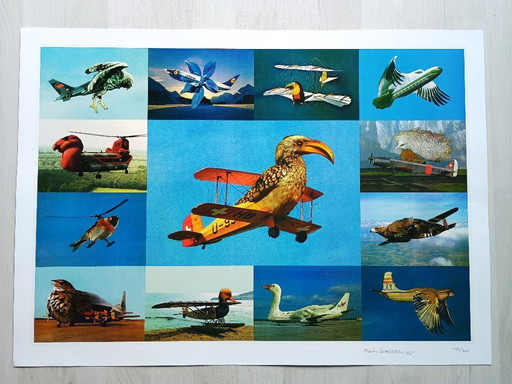Martin Schwarz: Lithograph - edition of 350 - signed - numbered (70 x 50 cm)