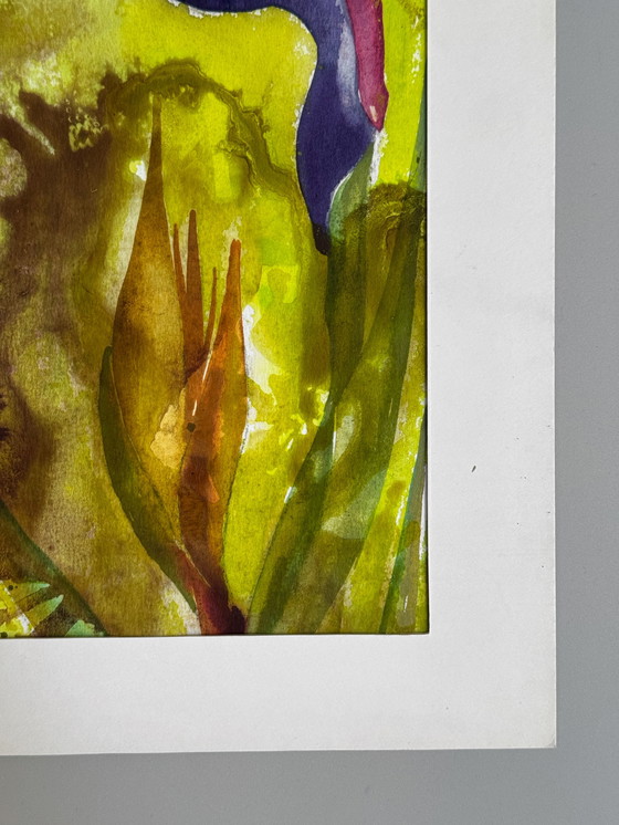 Image 1 of Eugène Eechaut (1928-2019) - Strelitzie - 1968. Signé