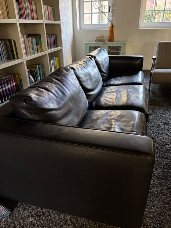 Leder 3-Sitzer Sofa, dunkelbraun, Molinari, 3-5 Sitzer Sofas, Metall, Modern (Foto 5 von 5)