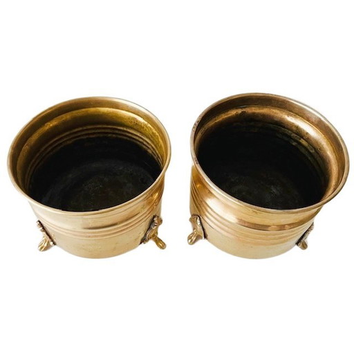 Vintage-Set aus Messing- und Goldblumentöpfen mit Löwenpfoten, 1950er Jahre