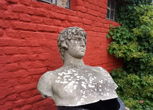 Weathered Garden Sculpture: David Concrete Bust