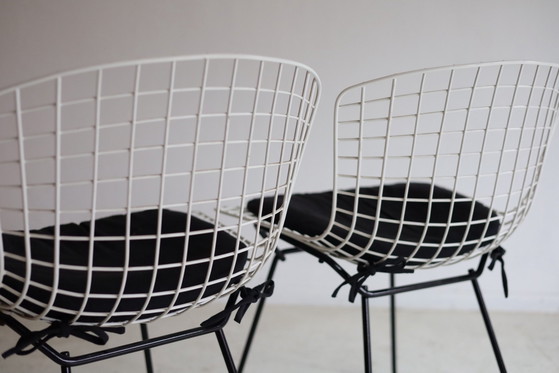 Set di 2 sedie Wire vintage 420, Harry Bertoia – Knoll, Sedie da pranzo, Ferro (photo 5 of 5)
