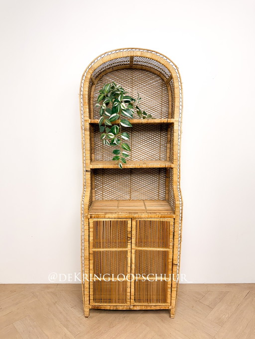 Vintage rattan wicker arched cabinet with doors