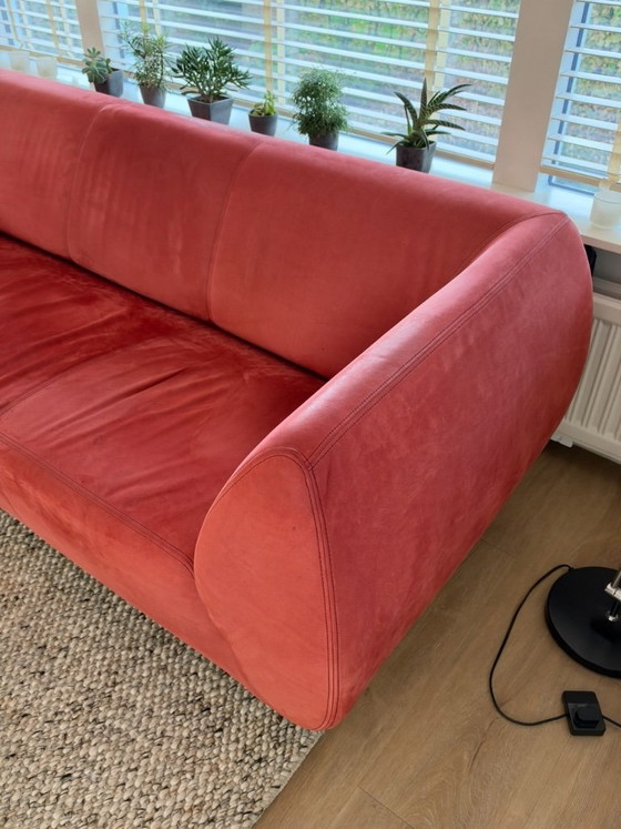 Gelderland Young 2.5-seater sofa, 3-5 seaters, Leather, Metal, Red, Modern (photo 2 of 15)