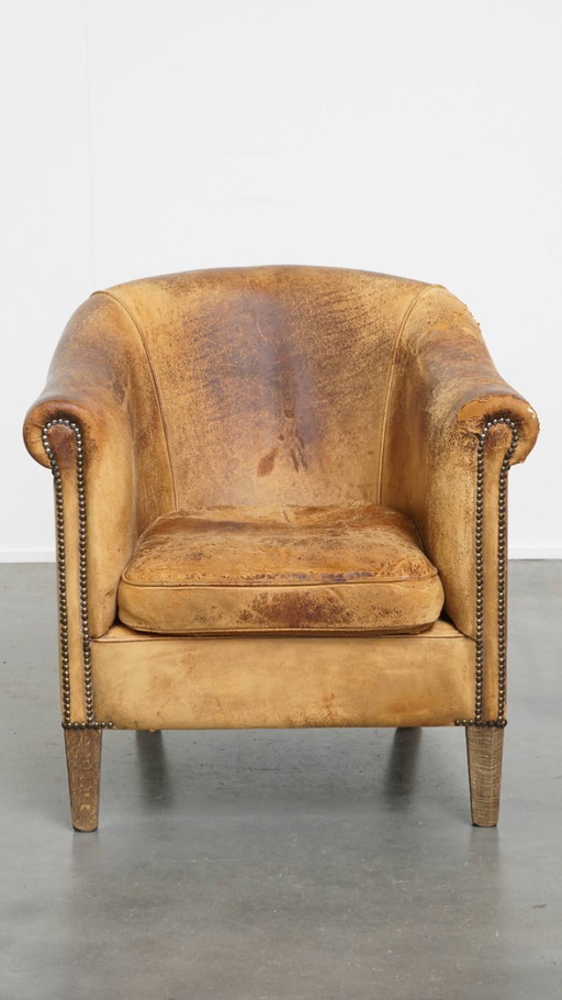 Sheep leather club chair by Nico van Oorschot