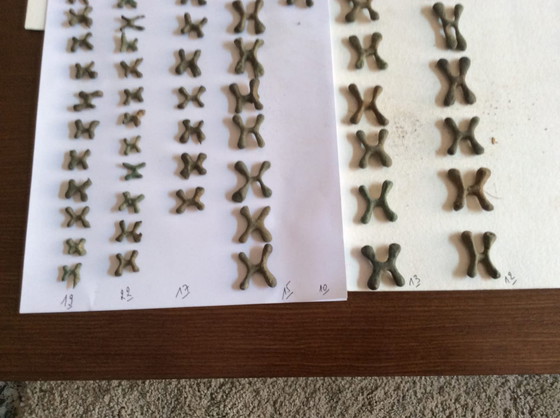 Image 1 of Katanga copper currency