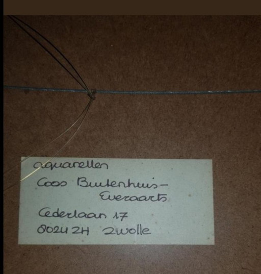Coos Buitenhuis-Everaarts Acuarelas 3 Paneles