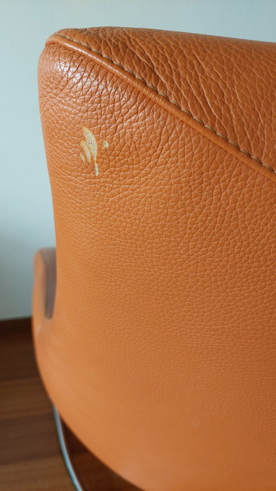 Image 1 of Sillón Leolux Darius