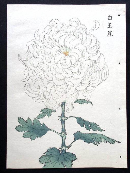 Keika Hasegawa "One Hundred Chrysanthemums" – schilderijen tekeningen, Paper (photo 2 of 14)