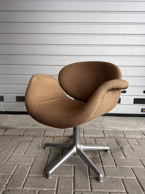 Artifort Tulip with Ottoman – Swivel chairs, Textile, Modern (photo 4 of 7)