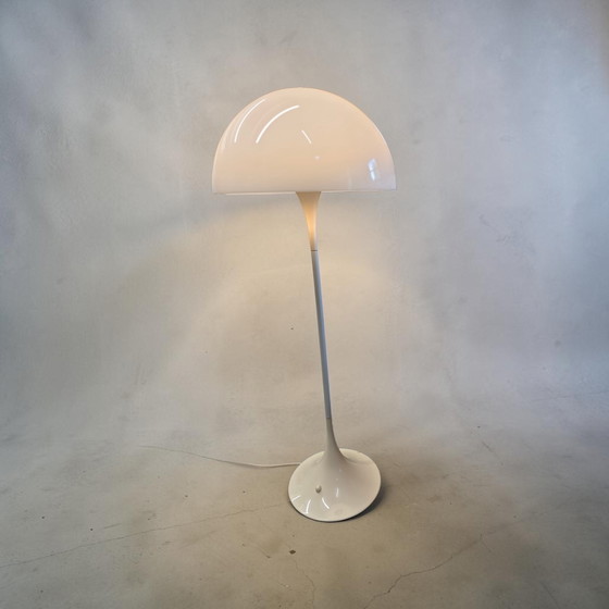 Image 1 of Phantanella lamp