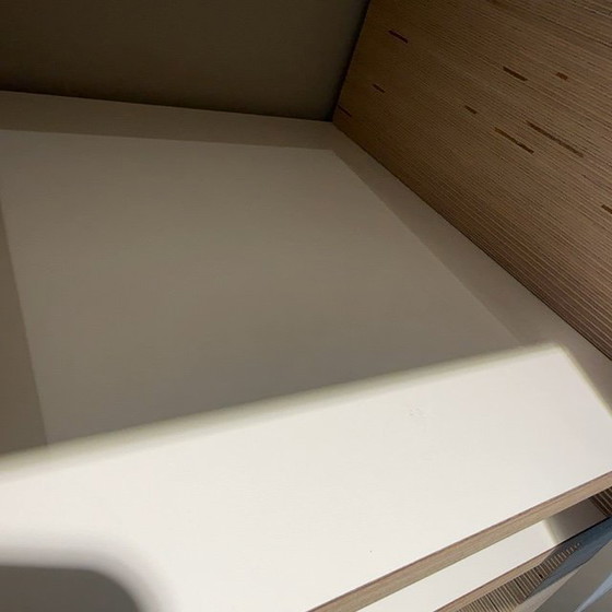 Image 1 of Pensile Spectrum Babel