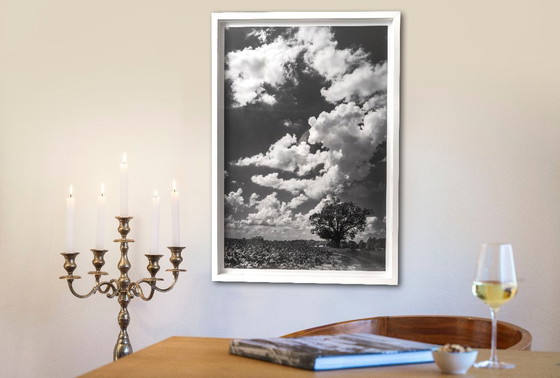 Image 1 of Virginia Landscape 2022