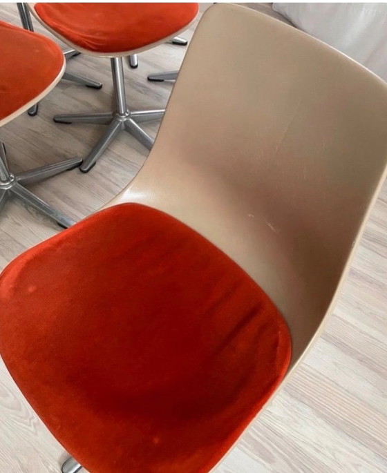 Retro Opportunity - 10 Original Wilkhahn Chairs – Dining chairs, Plastic, Velvet (photo 4 of 5)