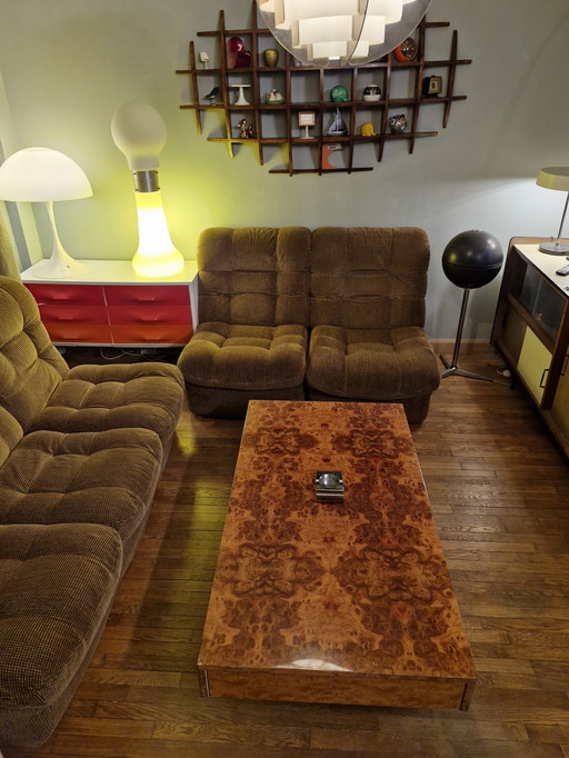 Mesa de centro vintage de los años 70 - madera de raíz - Diseño italiano Roche Bobois