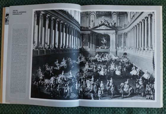 Image 1 of Ein Königreich für ein Pferd