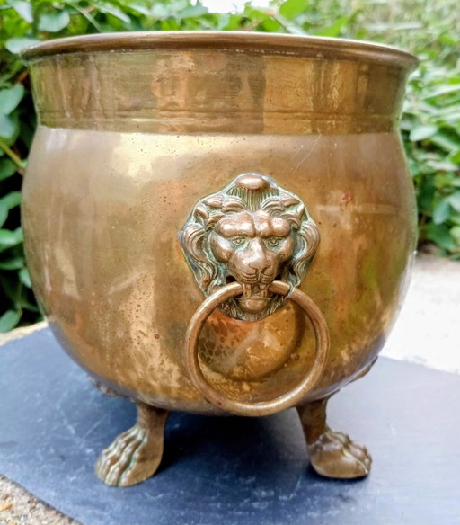 Baroque Brass Lion Planter