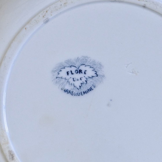 Image 1 of 19th century ironstone shallow dish signed Sarreguemines, Flore collection