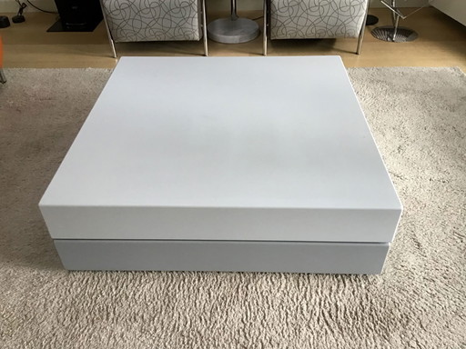 Leolux Coffee Table
