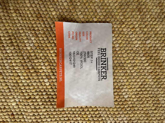 Image 1 of Brinker rug 100% wool (250 x 300 cm)